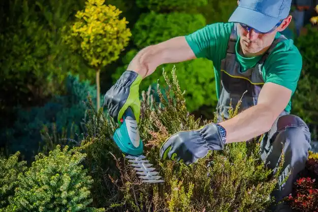 landscaping services Central Lake